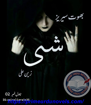 She novel pdf by Zain Ali