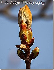 IMG_0312