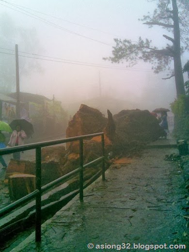08282011(007)asiong32