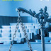 Law and Society 11th Edition PDF