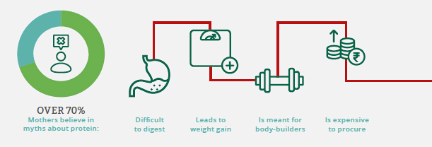 Does Protein cause Weight Gain?