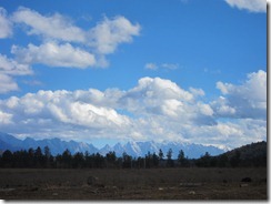 IMG_6820