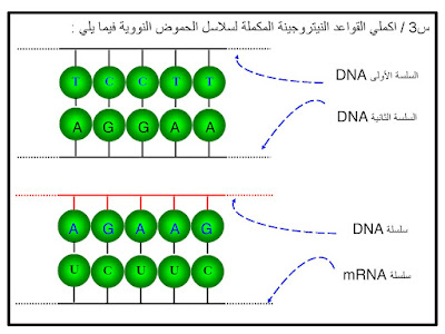 شرح درس مادة الوراثة الثالث المتوسط الفصل الثاني  2021 م