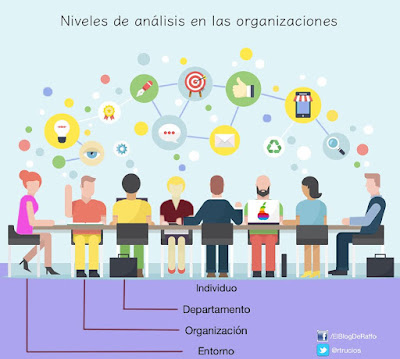 TEORIA DE LA ORGANIZACIÓN Y NIVELES DE ANÁLISIS