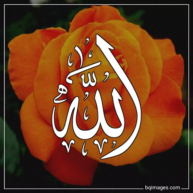 allah name dp for whatsapp