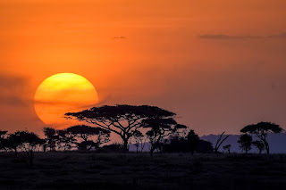 Tanzania Honeymoon national park