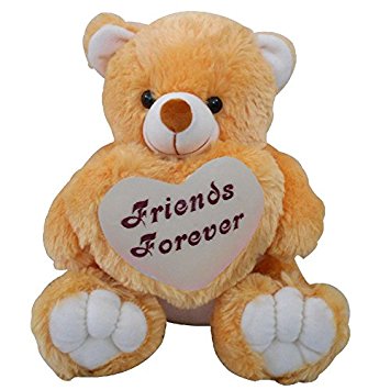Friends Forever Teddy Bear Image