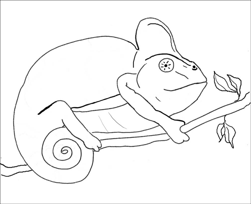 Boa Constrictor Coloring Page