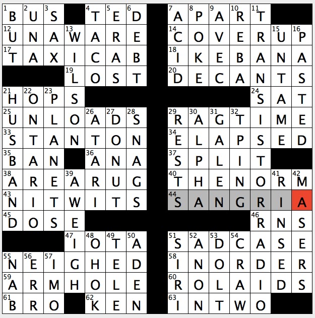Med Term Puzzles: Fun Crossword and Word Searches ...