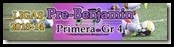 LIGAS-PreBenjamin-Primera-Gr-4-2013-