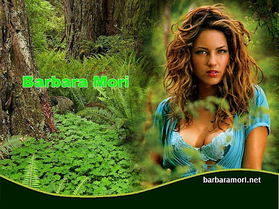 Barbara Mori wallpaper , Barbara Mori photos , Barbara Mori  pictures