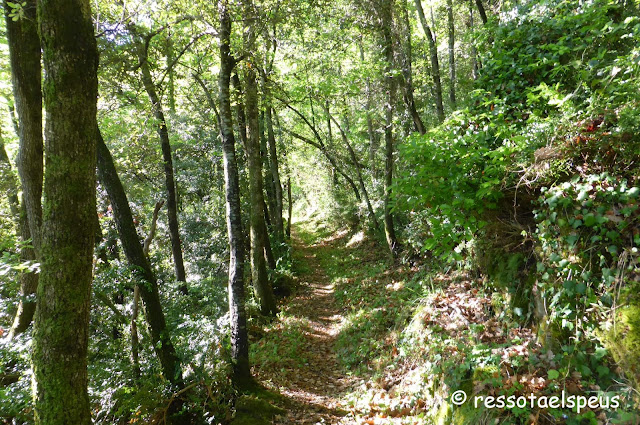 Mirador del Puig Rodó pel camí dels Bous