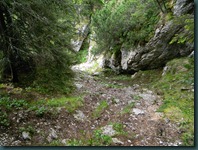 DSCN5099
