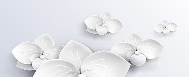 BackGround LH