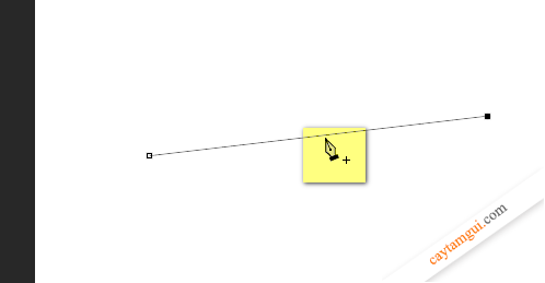 Hướng dẫn vẽ đường thẳng, đường cong trong Photoshop