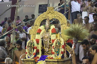 Parthasarathy Perumal, Theppa Utsavam, Theppam, Seriya Ther, Maasi, Trplicane,  Purappadu, Thiruvallikeni, Utsavam, 