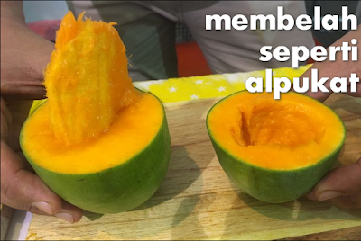 gambar mangga alpukat