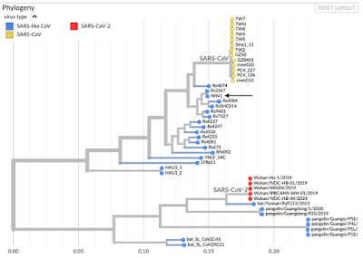 Análise sobre o SARS-COV-2 ,por Trevor Bedford (Cientista estuda vírus, evolução e imunidade)