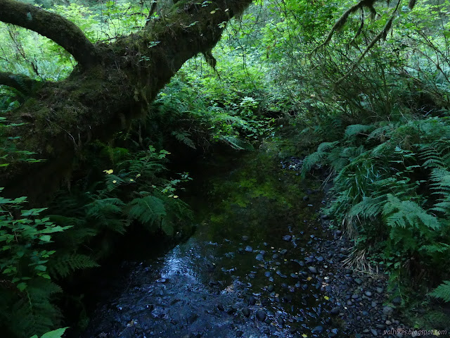 shallow creek, not so wide, from up on a bridge