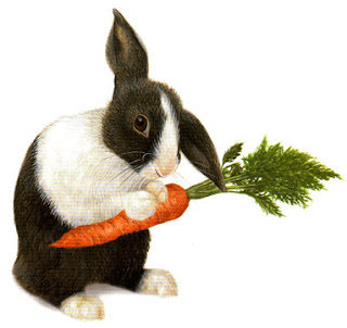 Is it true that carrots improve eyesight and prevent the rabbits go blind?