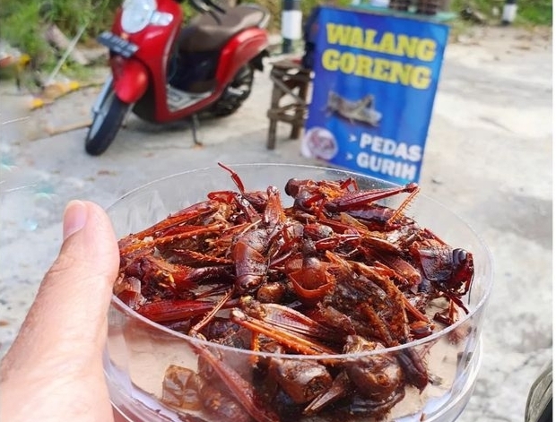 makanan ekstreem gunungkidul