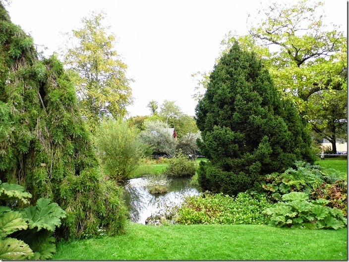Jardin Botanique de Genève