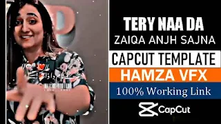 Tery Naa Da Zaiqa CapCut Template by Hamza VFX