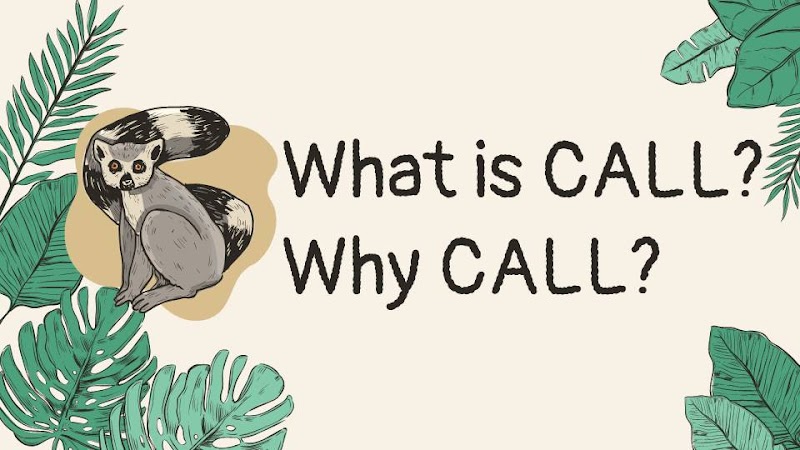 Learning Log Week 5 : What is CALL? Why CALL?