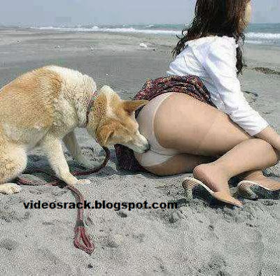 Dog Licking Ass on Beach