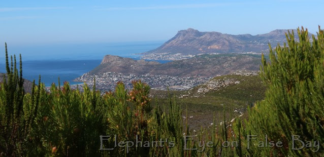 Noordhoek Ridge to Fish Hoek then Simon's Town