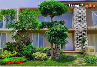 tukang taman ciracas jakarta timur dan jasa pembuatan taman di ciracas