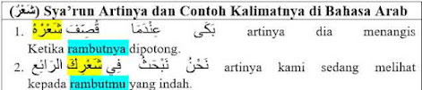 (شَعْرٌ) Sya'run Artinya, Tashrif dan Contoh Kalimatnya