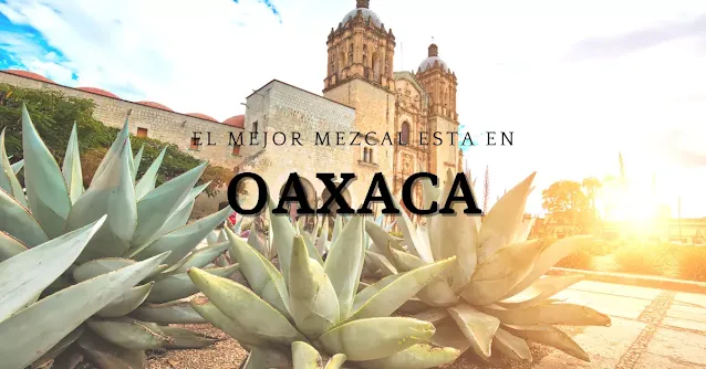 mezcal de oaxaca