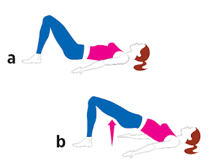 Double-Leg Hip Bridge all fitness Lie faceup with your feet flat on the floor, arms at your sides, palms facing up (a). Lift your hips off the floor, keeping your weight on your heels, until your body forms a straight line from shoulders to knees (b).