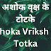 अशोक वृक्ष के टोटके | Ashoka Vriksh Ke Totka |
