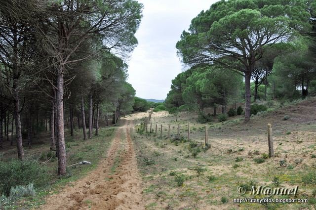 Los Majadales del sol - Vértice Geodésico Meca - Ermita de San ambrosio - Palomar de la Breña