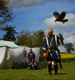 English Heritage Hadrian's Wall Chester's Roman Fort Falconry
