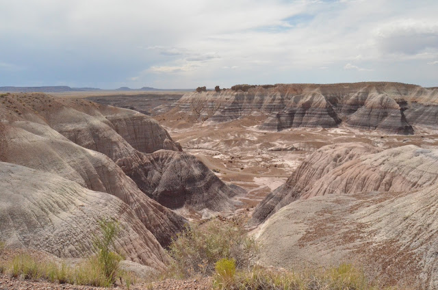 Petrified Forest National Park, Arizona