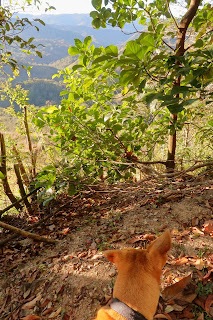 valley view in Puriscal