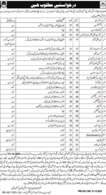 Balochistan Employees Social Security Institution Jobs 2023 - BESSI Jobs 2023,
