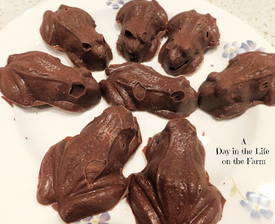 Chocolate Frogs