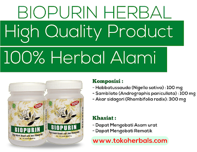 Jual obat herbal rematik