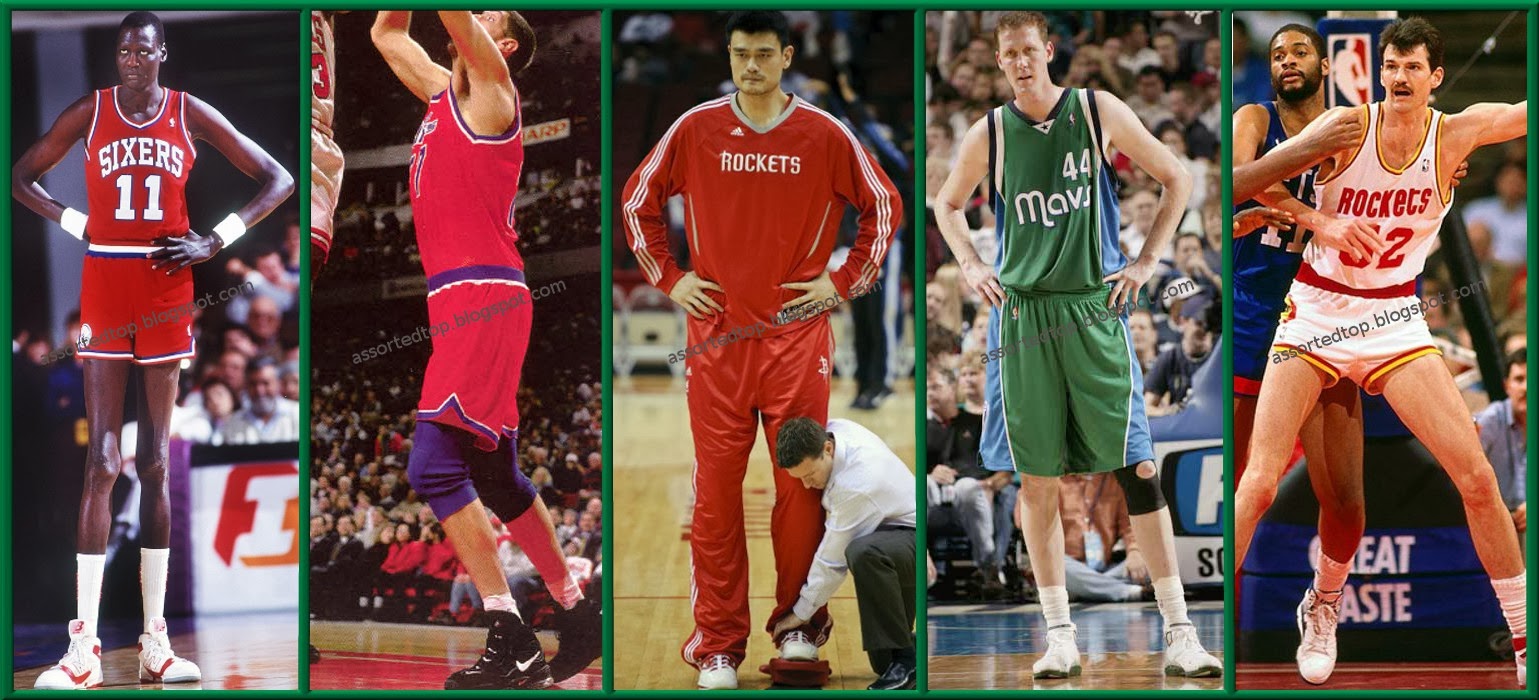 List of Top 5: Top 5 Tallest NBA Players