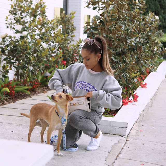 Ariana_Grande_HD_Pics- 7