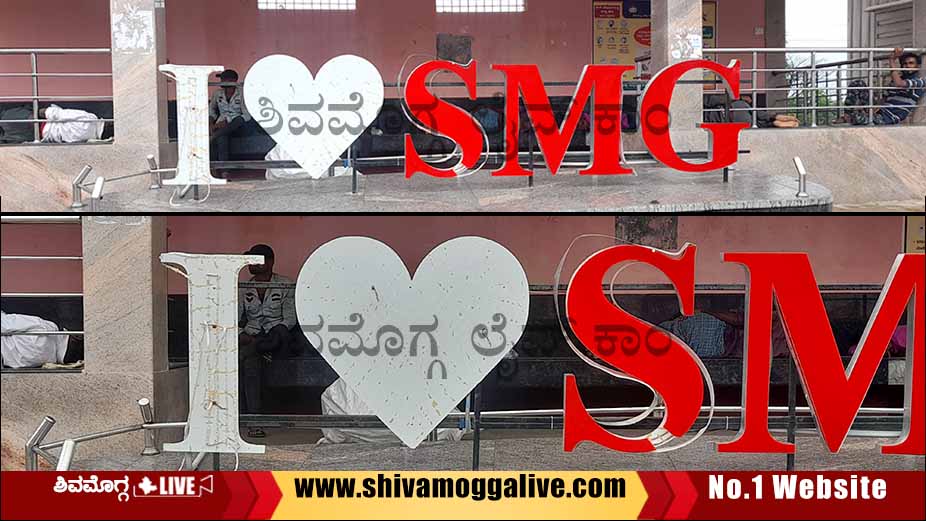 Brand Shimoga board damage