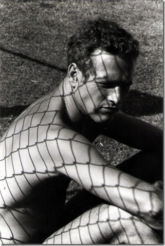 Dennis Hopper. Courtesy Tony Shafrazi Gallery. Paul Newmann. Photographie 1961-67.
