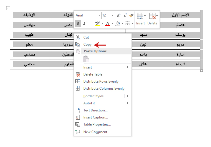 تحويل ملف PDF إلى Excel يدعم اللغة العربية
