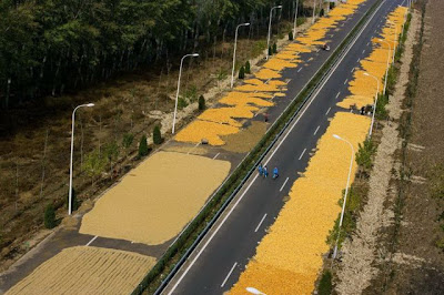 Beautiful Bird's-Eye Photos by Yann Arthus-Bertrand Seen On www.coolpicturegallery.us