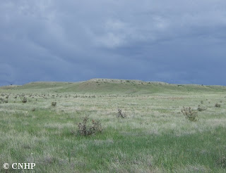 Shale barrens in SE CO