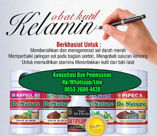 Obat Kutil Kelamin